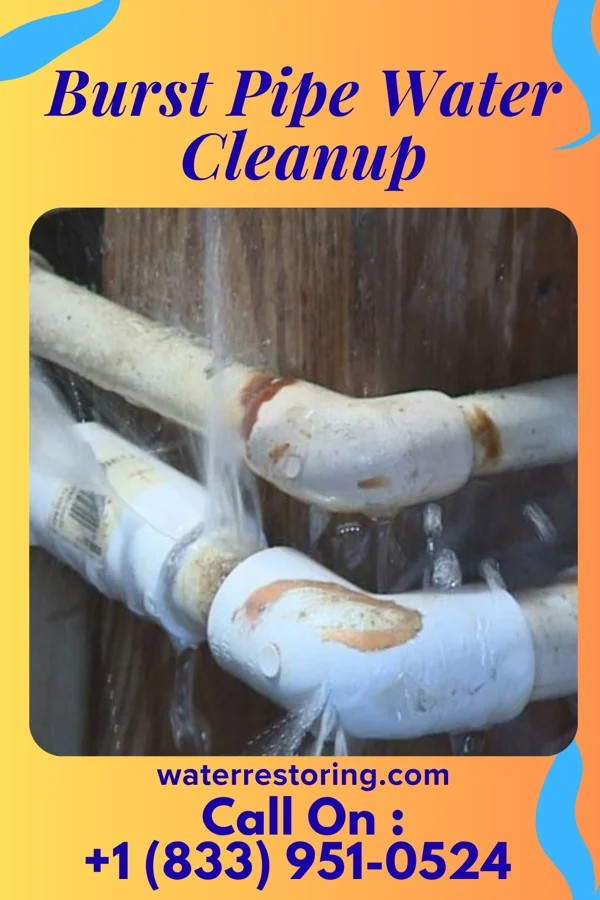 Burst Pipe Water Cleanup in Pulcifer, WI