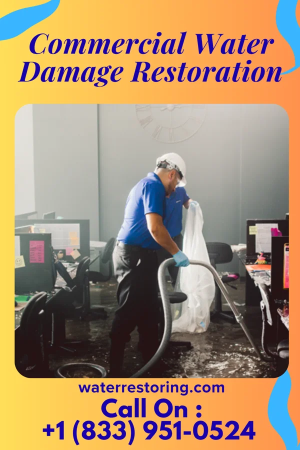 Commercial Water Damage Restoration in Pulcifer, WI