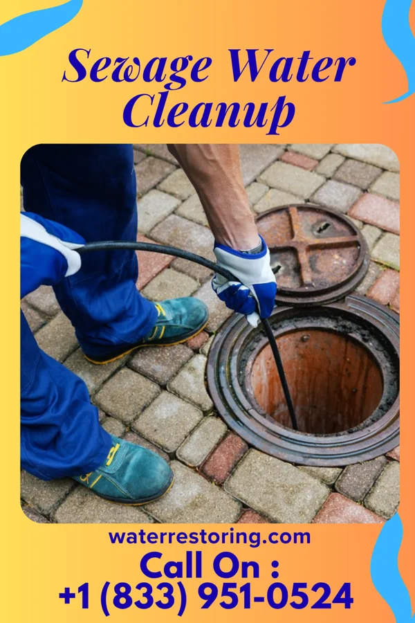 Sewage Water Cleanup in Pulcifer, WI